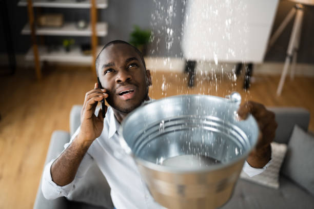 Best Ceiling water damage repair  in Darien, GA