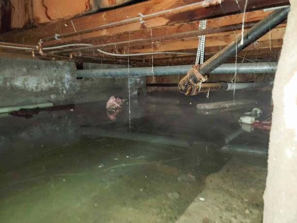 Best Emergency water extraction  in Darien, GA