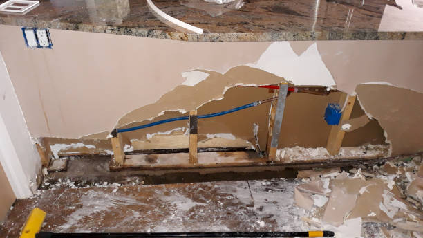 Best Local water damage restoration  in Darien, GA